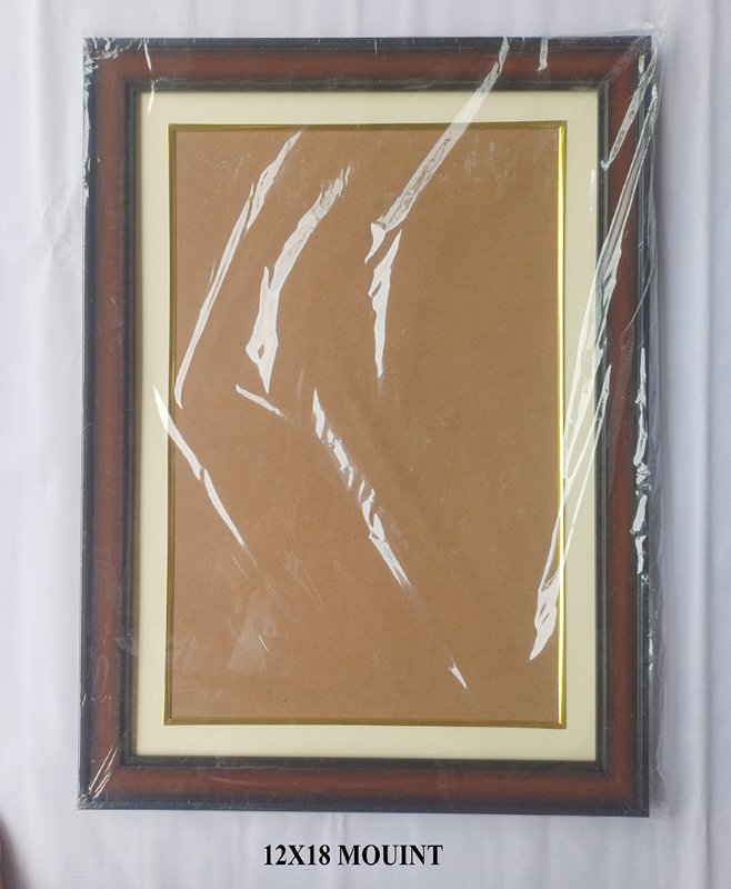 12X18 FRAME MOUNT